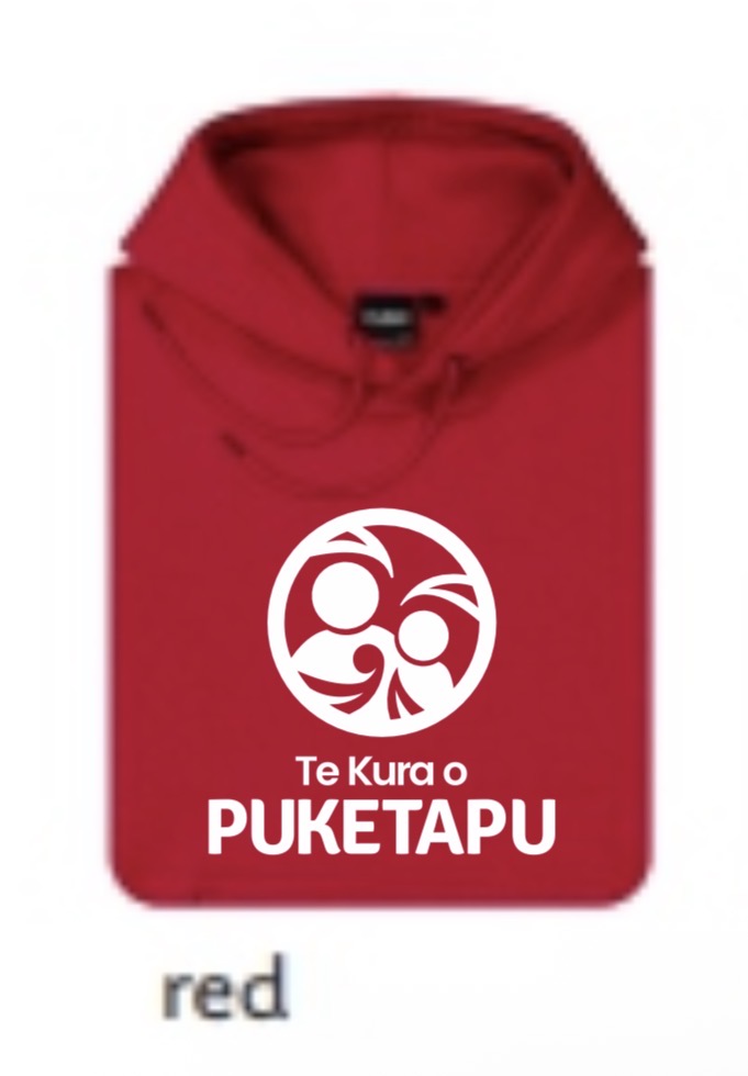 PUKETAPU SCHOOL 2026 - Adults Hoody