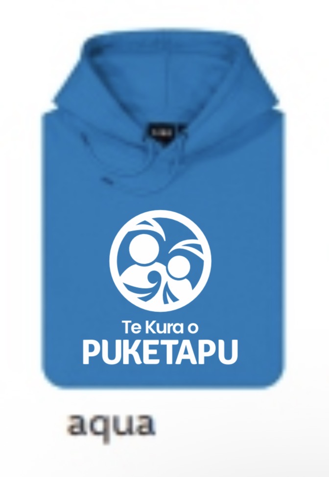 PUKETAPU SCHOOL 2026 - Adults Hoody