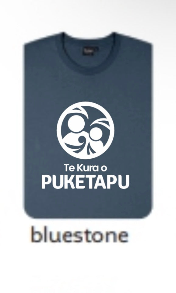 PUKETAPU SCHOOL 2026 - Adult T-shirt